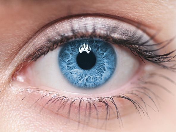 close-up of blue eye